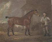 David Dalby The Racehorse 'Woodpecker' in a stall oil painting reproduction